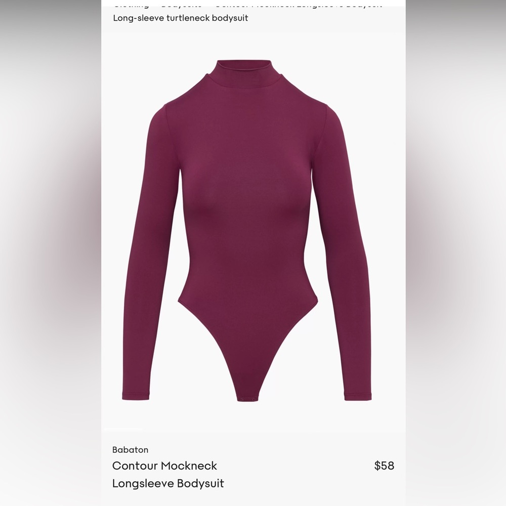Aritzia Contour Bodysuit- turtleneck